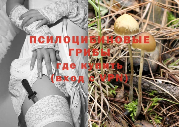 синтетический гашиш Горно-Алтайск